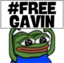 FreeGavin emote for Discord