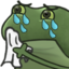 FrogeCry emote for Discord