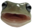 FrogWHAT emote for Discord