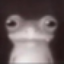 frogeStare emote for Discord