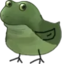 FrogeBirb emote for Discord