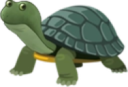 FrogeTurtle static emote for Discord, Twitch and Slack