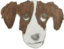 Frankerz emote for Discord