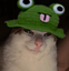 frogvil emote for Discord