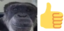 fredrickThumbup emote for Discord