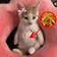 frykitty emote for Discord