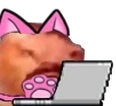 furries static emote for Discord, Twitch and Slack