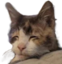 Fuckinghell emote for Discord